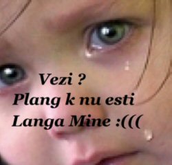 andy